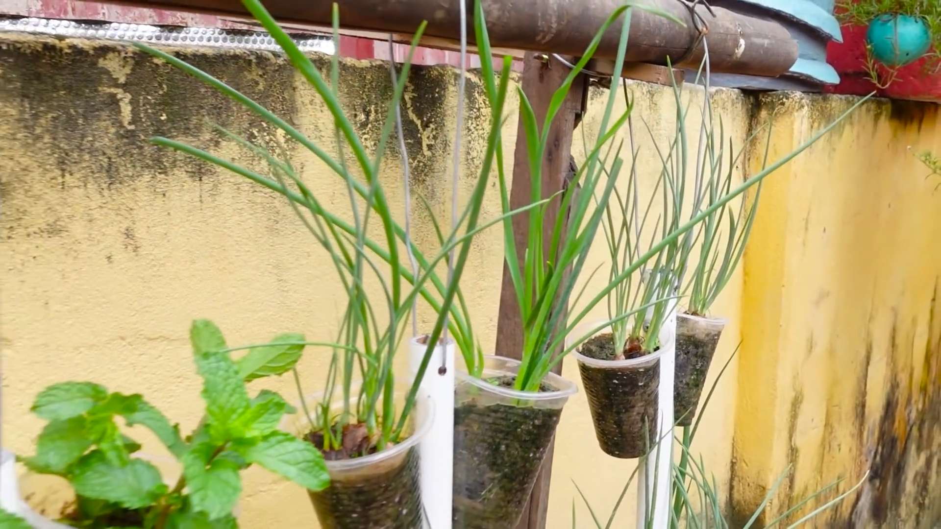 Pflanzgefäße aus Plastikbechern selber machen